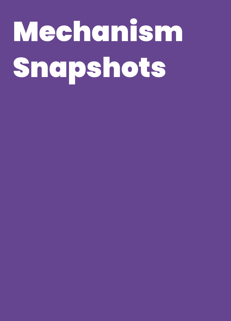 Mechanism Snapshots
